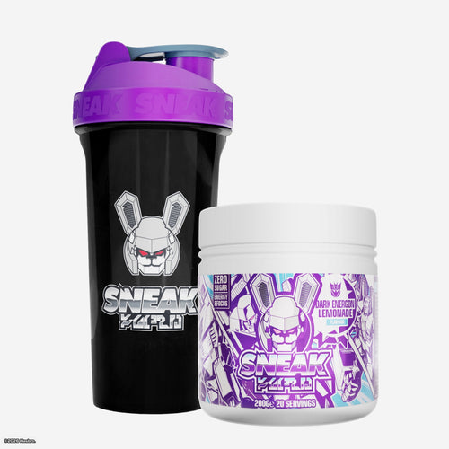 The Decepticons Bundle