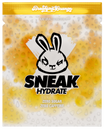 BREAKFAST ORANGE HYDRATE-image